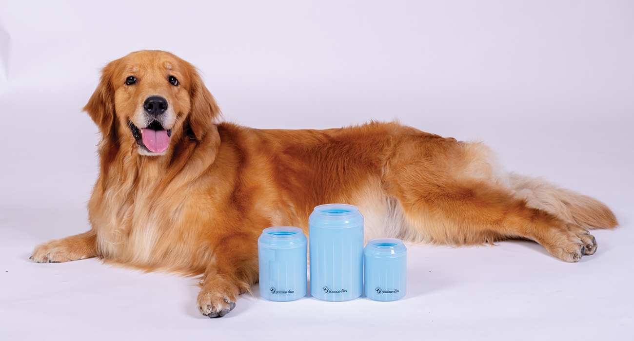 7 Reasons Why Your Dog Needs A Paw Cleaner
