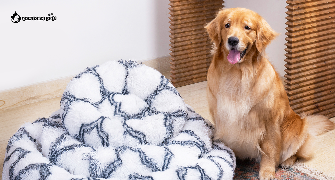 How Donut Dog Beds Can Improve Your Dog's Sleep Quality?