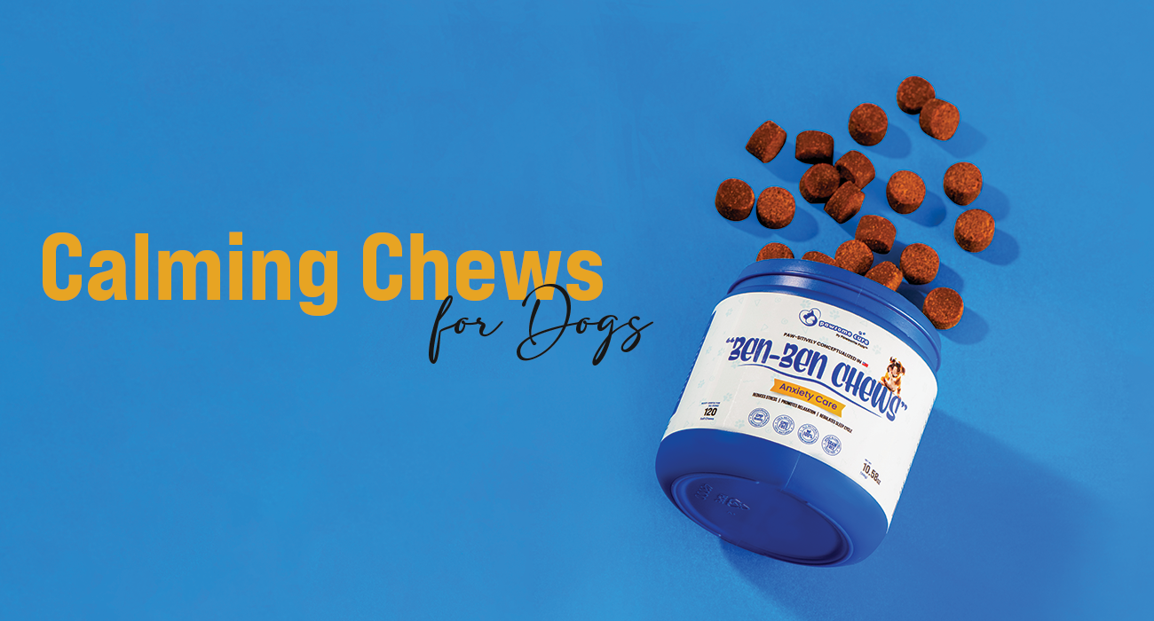 The Ultimate Guide to Calming Chews for Dogs