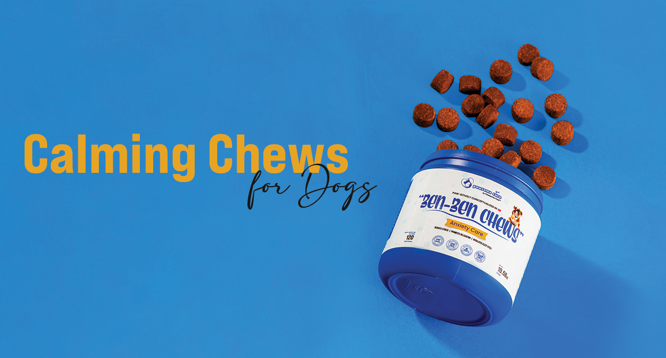 Dog Skin Care Guide: Allergy Relief Supplements And Grain-Free Dog Chews